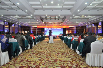 金龍起舞辭舊歲，銀蛇歡歌啟新程