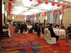 2015 積蓄力量，2016 大勝歸來